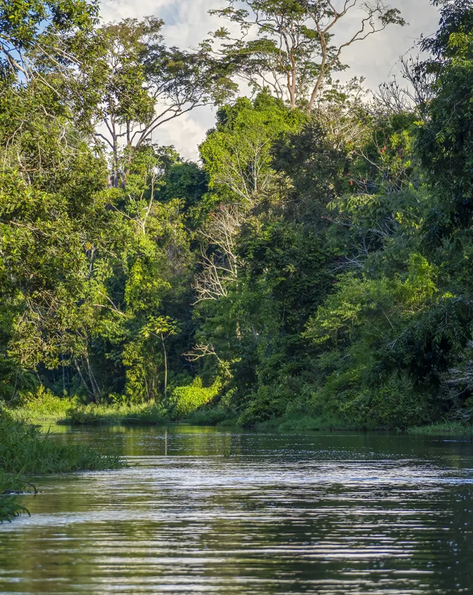 river_photo_2.jpg